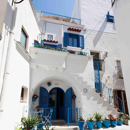 Janela Blue Civico 35 *