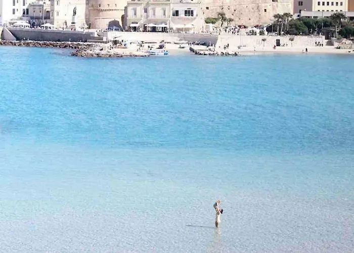 Janela Blue Civico 35 *